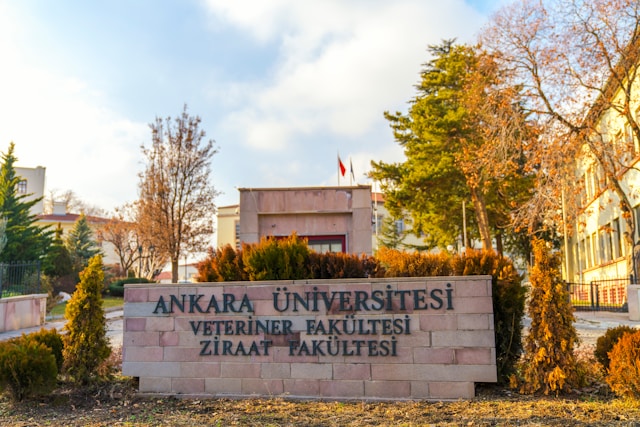 Université Ankara